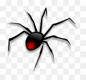 10  Free Tarantula & Spider Illustrations