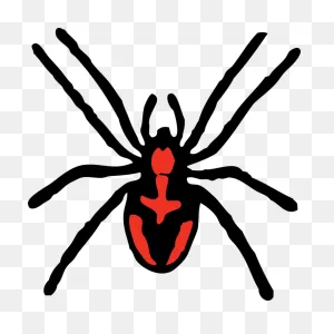 Tangle Web Spider,wing,widow Spider Png Clipart - Royalty Free Svg ClipartFlare.com 