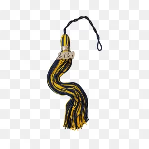 Graduation Tassel