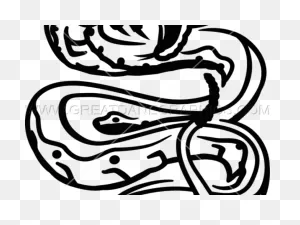 Serpiente Snake Rosa Roses Rose Tumblr Tatuaje Tattoo - Clip Art ClipartFlare.com 