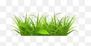 Computer Icons Clip Art - Tall Grass Png Images & Pictures Png ClipartFlare.com 