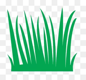 Download Sea Grass Clipart Tall - Grass Blades Cartoon Png Image ClipartFlare.com 