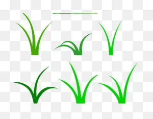Sea Grass Clipart Tuft Grass - Png Download - Full Size Clipart ClipartFlare.com 