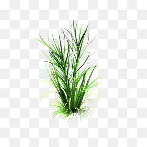 Tall N Messy Grass Accent By Madetobeunique On 
