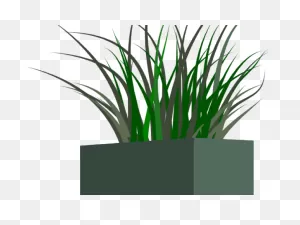 Transparent Tall Grass Clipart - Transparent Background Plant ClipartFlare.com 