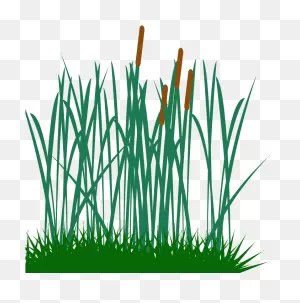 Tall Grass Clip Art Png Image - Tall Grass Vector - (1024X768) Png ClipartFlare.com 