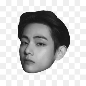 Kim Taehyung Bts V Sticker