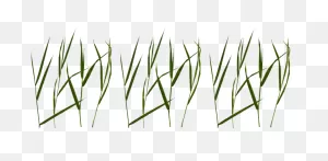 Free Png Download Grass Blade Texture Png Images Background ClipartFlare.com 