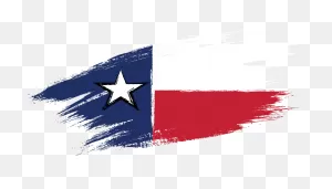 Sam Texas - A New Party For A New Majority.