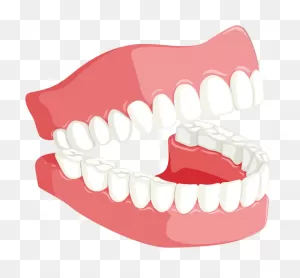 Transparent Vampire Teeth Clipart Transparent - Vampire Teeth ClipartFlare.com 