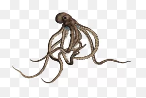 Tentacle Monster Alpha Png - Octopus Png Clipart - Full Size ClipartFlare.com 