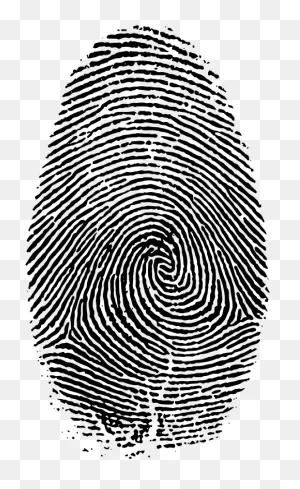 Medium Image - Fingerprint Fibonacci Sequence Clipart - Full Size ClipartFlare.com 