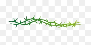 Thorns Pointed Spine - Free Vector Graphic On ClipartFlare