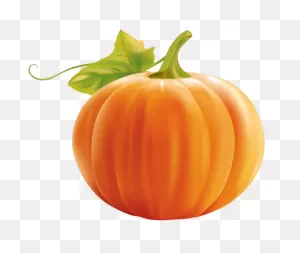 Gallery - Recent Updates | Pumpkin Png, Pumpkin, Pumpkin Clipart