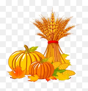 Thanksgiving-Pumpkin-Clipart – Currituck County