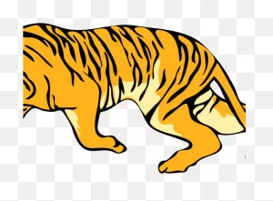 Tiger Clipart Png Transparent Png - Full Size Clipart (#5571963 ClipartFlare.com 