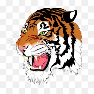 6  Tiger Head Clipart - Preview : Tiger Face2 | ClipartFlare