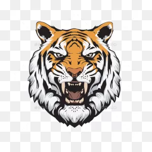 Tiger Head Vector Png Clipart - Full Size Clipart (#5501611 ClipartFlare.com 