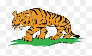 Download Hd Tiiger Clipart Tiger Head - Cartoon Tiger Drawing ClipartFlare.com 