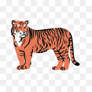 Tiger Stripes Png & PNG-WebP Transparent Background To Download