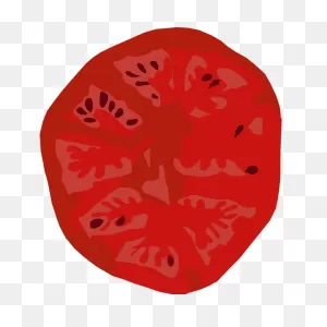 Tomato Slice | Free PNG-WebP