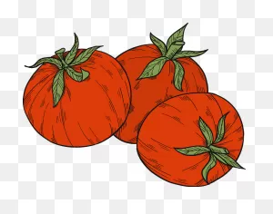 Tomatoes Clipart - Tomato - Png Download - Full Size Clipart ClipartFlare.com 