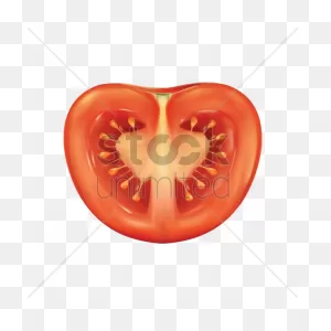 Tomato Slice Vector Image - 1815049 | Stockunlimited