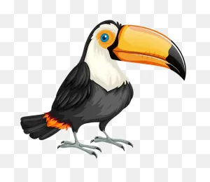 Toucan Clipart. Free Download Transparent .png | ClipartFlare