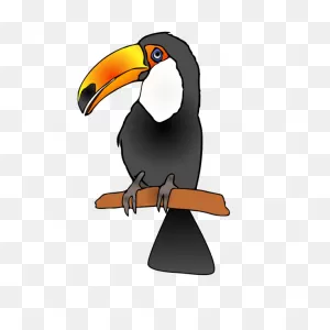 Toucan Png, PNG-WebP Clip Art For Web - Download Clip Art, Png Icon Arts