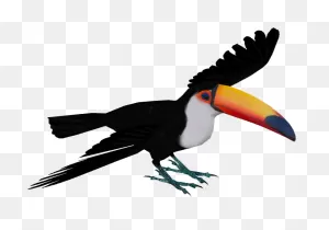 Toucan Png - Toco Toucan Png Clipart - Full Size Clipart (#4168560 ClipartFlare.com 