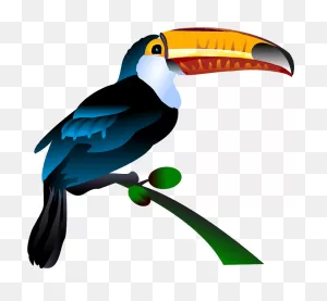 Toco Toucan Clipart. Free Download Transparent .png | ClipartFlare