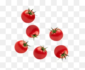 Tomatoes - Sunset Grown. All Rights Reserved.