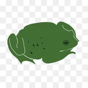 Toad By Rones | Free PNG-WebP