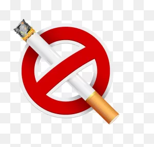 Cigarette Clipart Tobacco Product - No Cigarette Smoking (In My ClipartFlare.com 