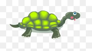 Tortoise Clipart. Free Download Transparent .png | ClipartFlare