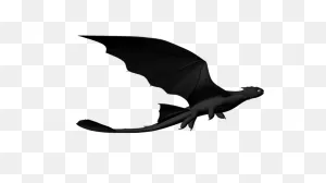 807-Project2-Toothless | Yuanchi Cai