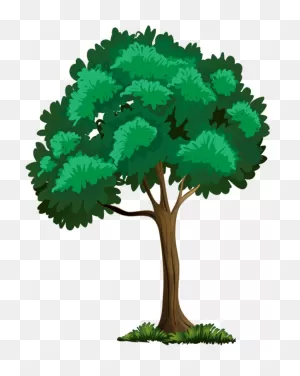 Free Tree Images Free, Download Free Tree Images Free Png Images ClipartFlare.com 