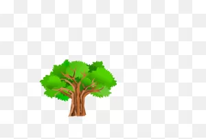 Rainforest Trees Clipart - ClipartFlare - ClipartFlare