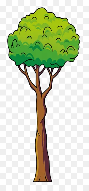Download Fruit Tree Branch Asian Pear - Pear Tree Clipart Png ClipartFlare.com 