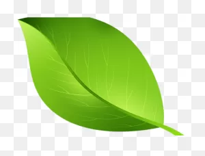 Free Leaf Clipart Transparent, Download Free Leaf Clipart ClipartFlare.com 