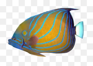 Tropical Fish Clipart Transparent Fish - Tropical Fish Png ClipartFlare.com 