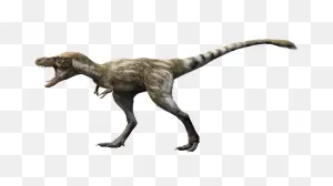 Tyrannosaurus Rex Teenagers Had Enormous Growth Spurts, Study Finds