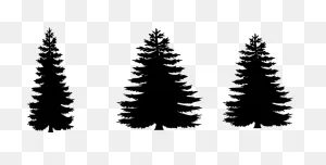 12 Free Vector Pine Trees Free Cliparts That You Can - Free Pine ClipartFlare.com 