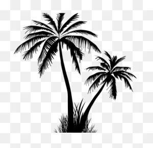 Coconut Tree Free Vector | Full Size Png Download | ClipartFlare