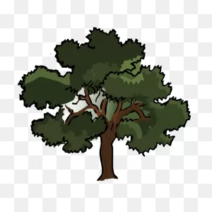 Vector Clip Art Of Wide Oak Tree | Free PNG-WebP