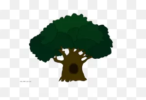 Free Oak Tree Drawing Free Image Download