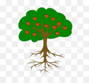 Image Result For Simple Tree Drawing With Roots And Fruit | Tree ClipartFlare.com 