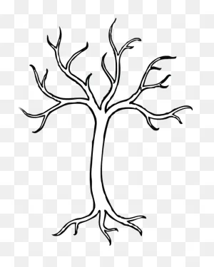 Tree Drawing Clip Art - Tree Png Download - 576*720 - Free ClipartFlare.com 