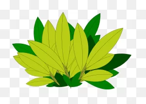 Download Leaf Clipart Coconut Tree - Banana Leaves Clip Art - Full ClipartFlare.com 