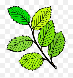 Фотки Enchanted Tree, Tree Clipart, Tree Leaves, Tree - Reading ClipartFlare.com 